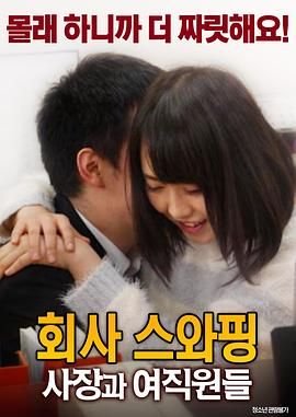 《公司交换：老板与女职员》电影免费在线观看完整版全集 (2017) 海报
